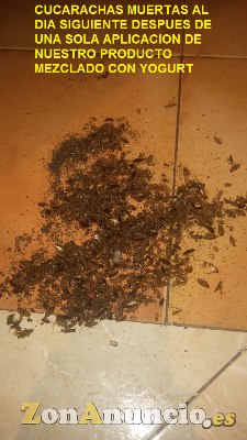 Polvo insecticida para cucarachas por ingestion